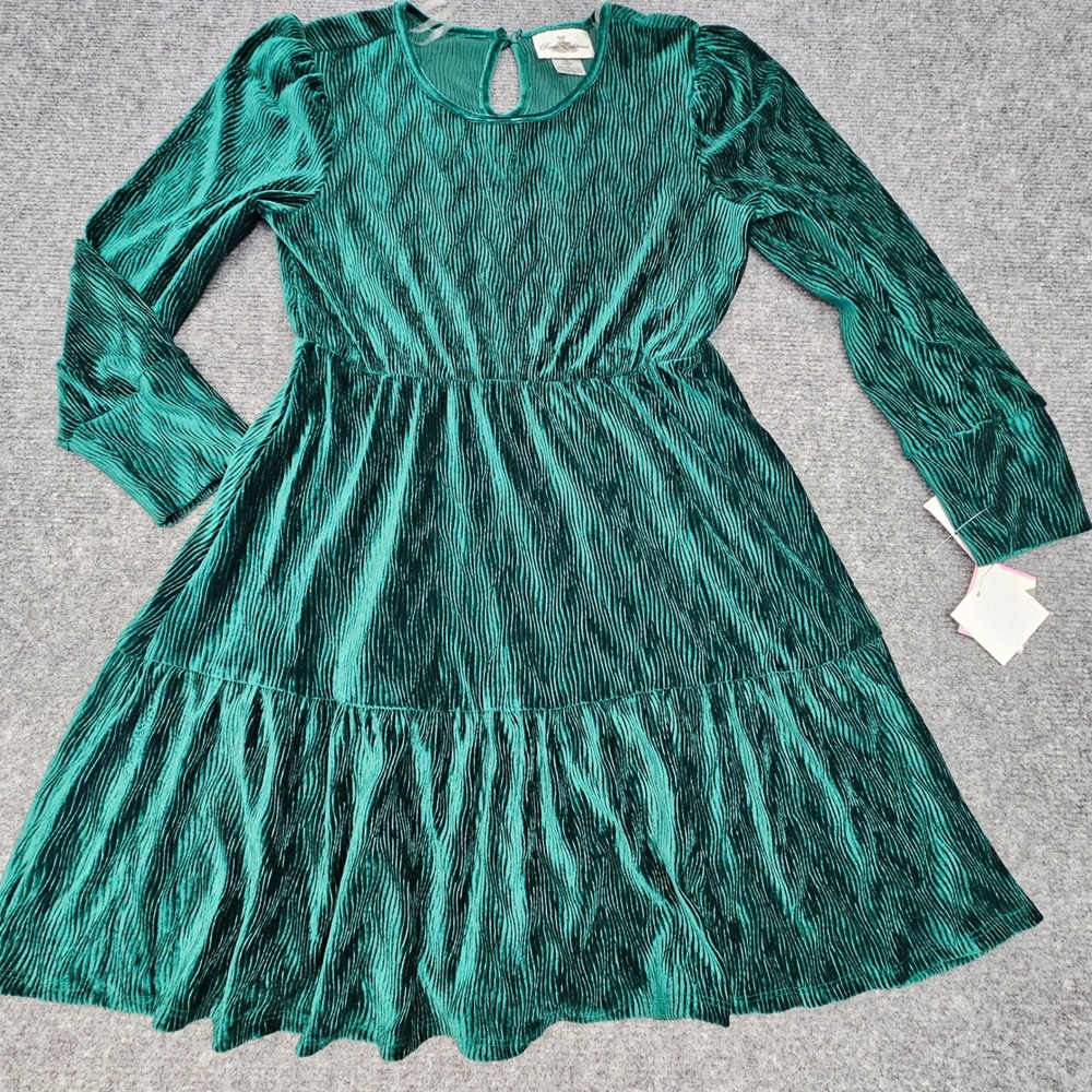 Rare Editions Dress Girls Size 10 Green Pleated Velvet‎ Tiered Long Sleeve
